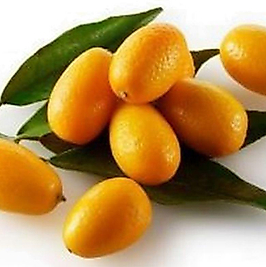 KUMKUAT